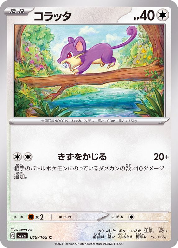 Rattfratz Rattata コラッタ sv2a